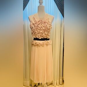 Stunning Cocktail Dress